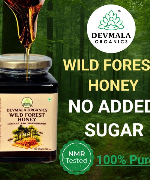 WILD FOREST HONEY 250g