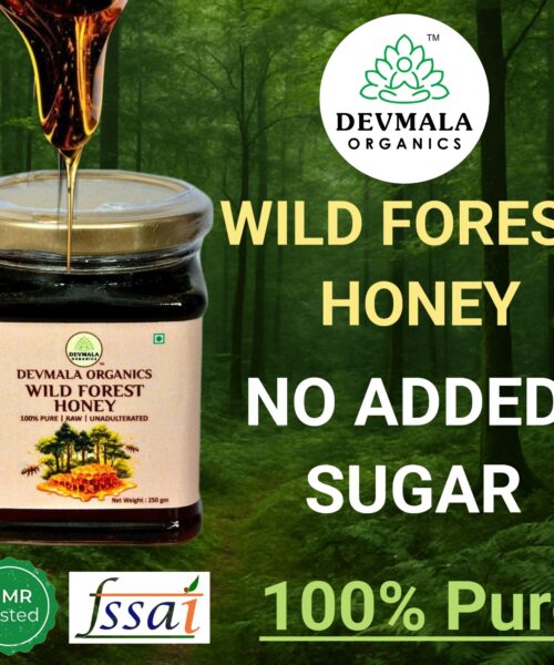 WILD FOREST HONEY 250g
