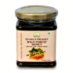 WILD FOREST HONEY 250g